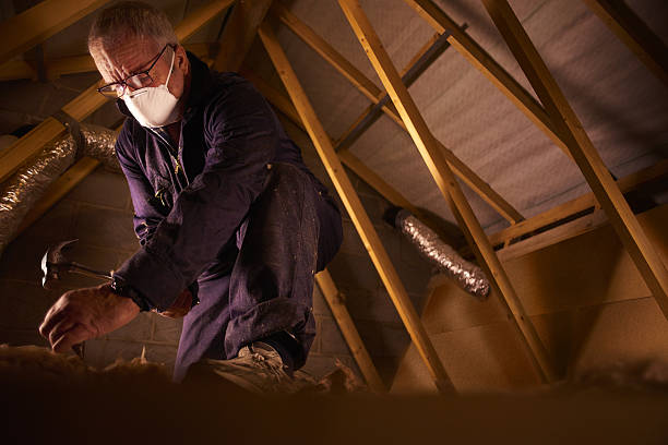 Best DIY Insulation Kits and Guidance in Arden On The Severn, MD